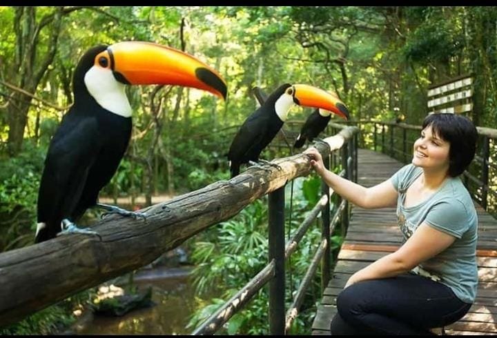 Atrativa turística com as aves